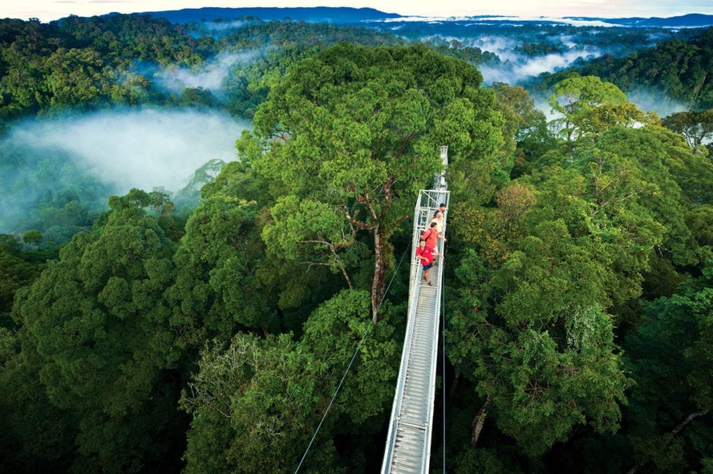 cloud forest monte verde costa rica