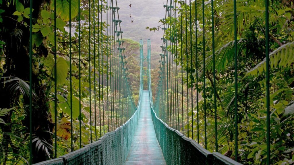 Monte-Verde-Cloud-Forest